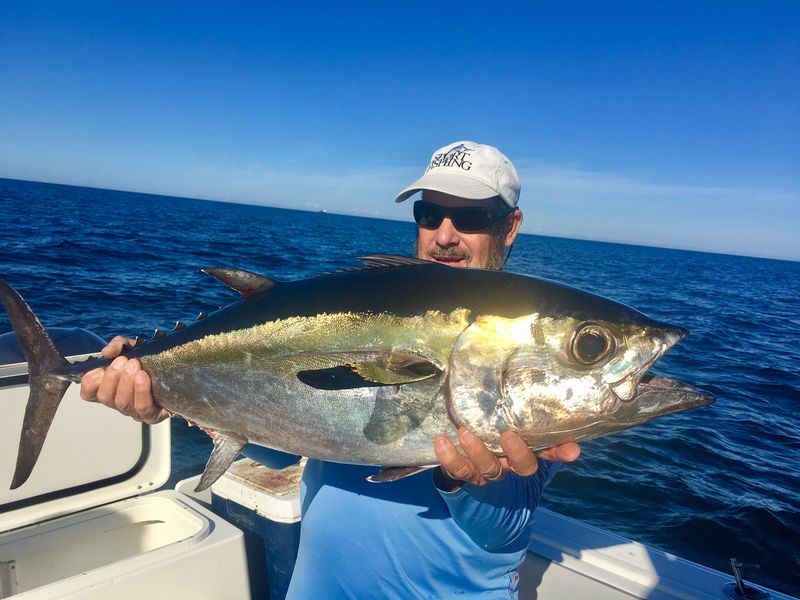 Confirm. All Off shore hustler fishing charters Helpful information Off shore hustler fishing charters